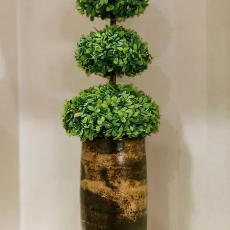 Old Town Luxury アパート *