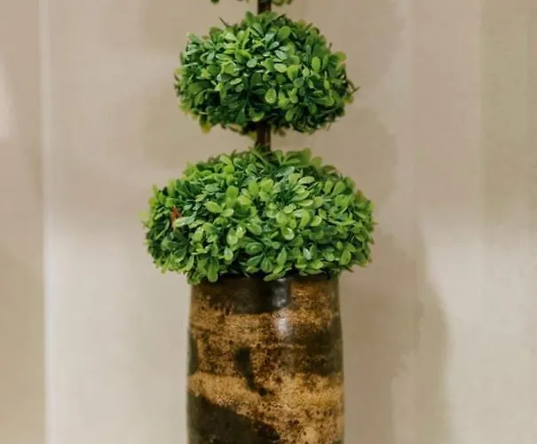 Old Town Luxury Daire *